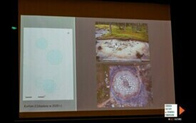 Galeria aktualności Dr Andrzej Kasprzak z Muzeum w Koszalinie o kamiennych kręgach w Pławnie pod Czaplinkiem 78 13