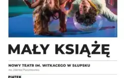 Zdjęcie do Mały Książę