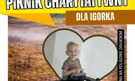 Zdjęcie do Kulturalny Piknik Charytatywny dla Igorka