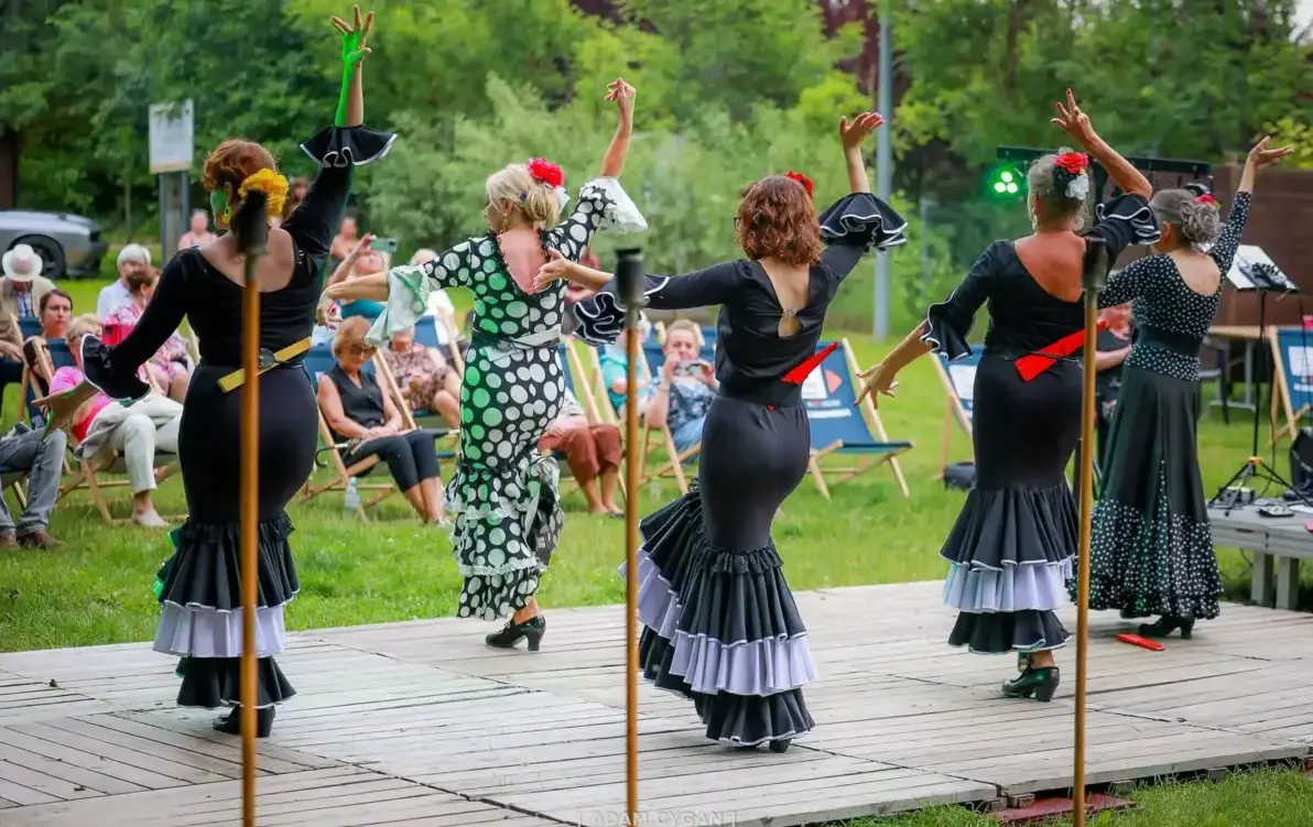 Zdjęcie do &bdquo;Spotkajmy się w rytmie flamenco&rdquo;. Ponad 5 tysięcy złotych...
